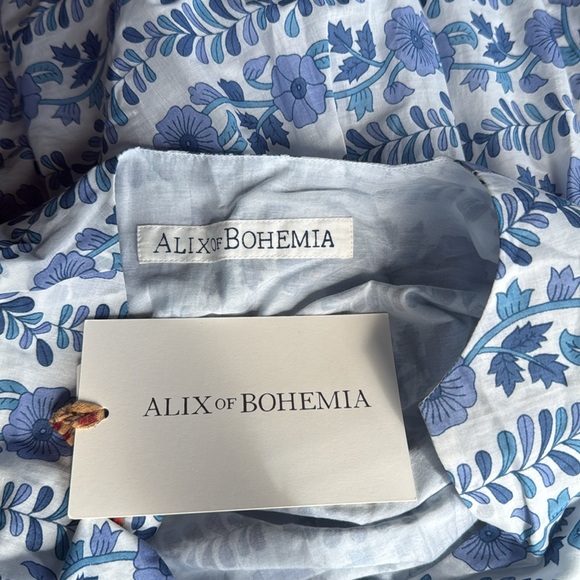 Alix of Bohemia Silvie Iris Ivy Dress - Picture 9 of 12